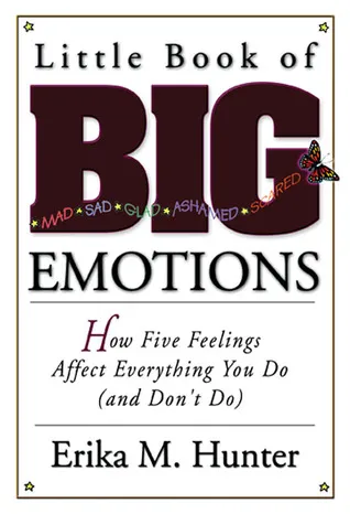 Little Book of Big Emotions: How Five Feelings Affect Everything You Do (and Don't Do)