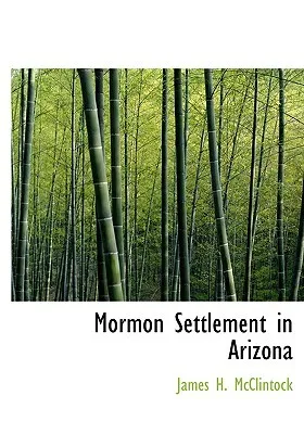 Mormon Settlement in Arizona: A Record of Peaceful Conquest of the Desert