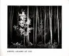 Ansel Adams At 100