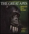 The Great Apes: Between Two Worlds