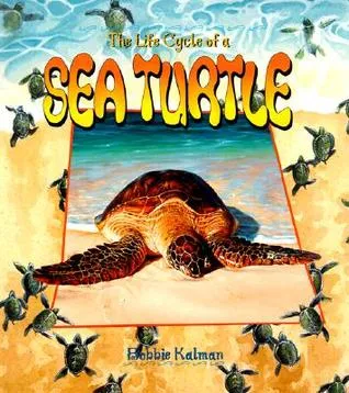 The Life Cycle of a Sea Turtle