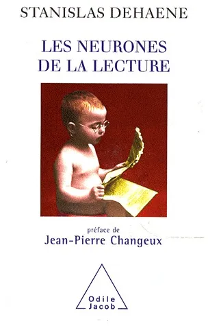 Les neurones de la lecture