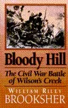 Bloody Hill: The Civil War Battle of Wilson