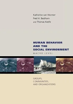 Human Behavior and the Social Environment: Macro Level: Groups, Communities, and Organizations