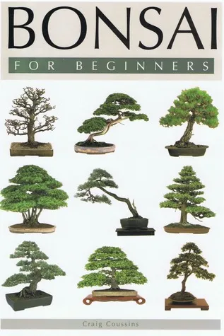 Bonsai For Beginners