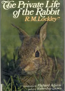 The Private Life Of The Rabbit; An Account Of The Life History And Social Behavior Of The Wild Rabbit