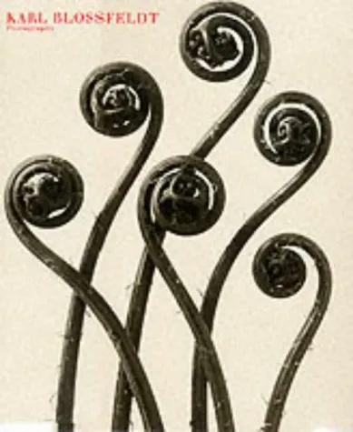 Karl Blossfeldt