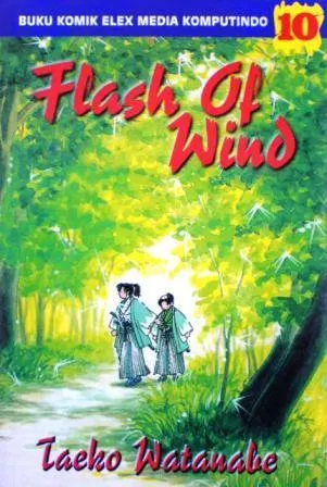 Flash Of Wind Vol. 10