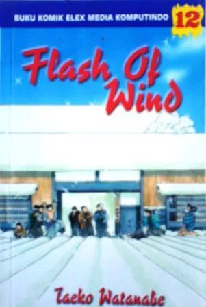 Flash Of Wind Vol. 12