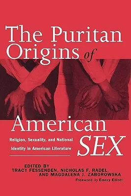 The Puritan Origins of American Sex: Religion, Sexuality, and National Identity in American Literature