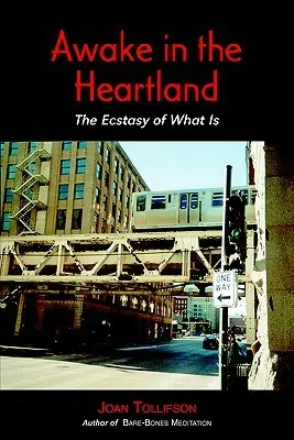 Awake in the Heartland: The Ecstasy of What Is