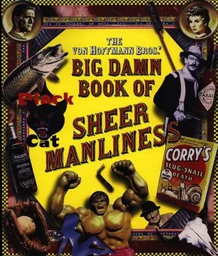 The Von Hoffmann Bros.' Big Damn Book Of Sheer Manliness