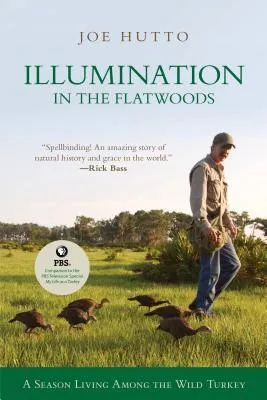 Illumination in the Flatwoods: A Season with the Wild Turkey