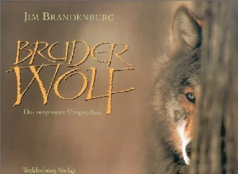 Bruder Wolf : das vergessene Versprechen