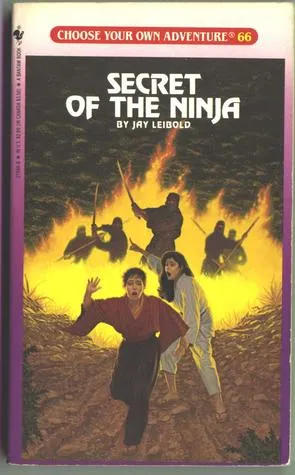 Secret of the Ninja