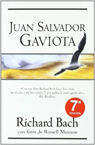 Juan Salvador Gaviota