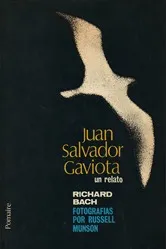 Juan Salvador Gaviota