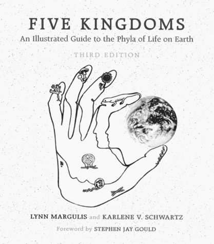 Five Kingdoms