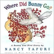 Where Did Bunny Go?: A Bunny and Bird Story