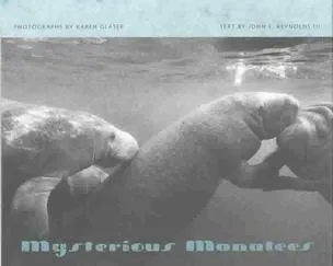 Mysterious Manatees: Photographs by Karen Glaser