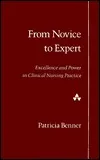 From Novice to Expert: Excellence and Power in Clinical Nursing Practice