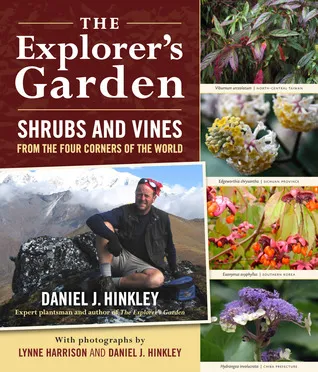 Shrubs and Vines for the Explorer