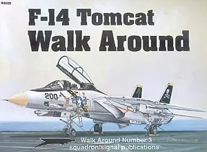 F-14 Tomcat Walk Around