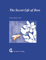 Secret Life of Bees