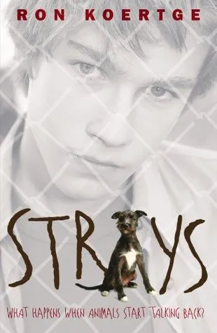 Strays