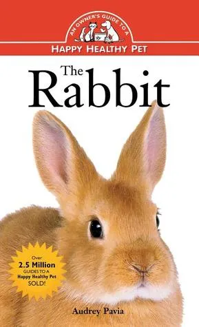 The Rabbit: An Owner