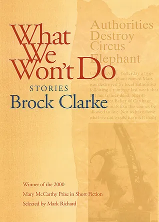 What We Won't Do: Stories