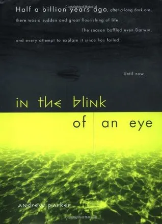 In The Blink Of An Eye