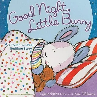 Good Night, Little Bunny: A Touch-and-Feel Bedtime Story