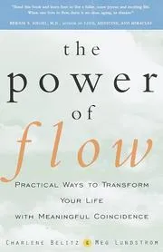 The Power of Flow: Practical Ways to Transform Your Life with Meaningful Coincidence