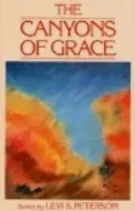 The Canyons of Grace: Stories