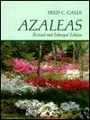 Azaleas