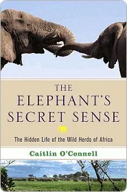 The Elephant's Secret Sense: The Hidden Life of the Wild Herds of Africa