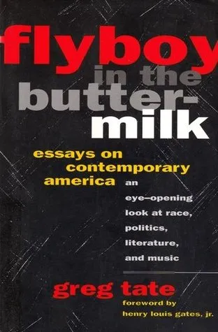 Flyboy in the Buttermilk: Essays on Contemporary America