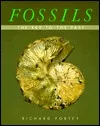 Fossils: The Key to the Past,