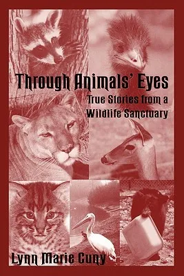 Through Animals' Eyes: True Stories from a Wildlife Sanctuary