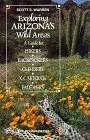 Exploring Arizona's Wild Areas: A Guide for Hikers, Backpackers, Climbers, X-C Skiers and Paddlers