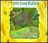 Little Lost Rabbit