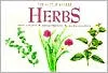 Herbs (Little Guides)