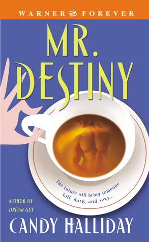 Mr. Destiny