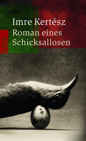 Roman eines Schicksallosen