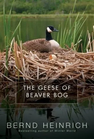 The Geese of Beaver Bog