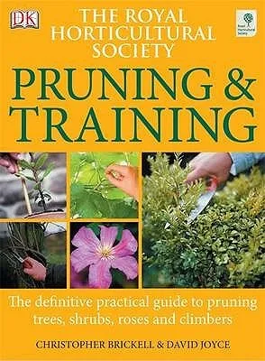 Pruning & Training