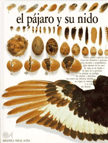 El Pajaro y su Nido