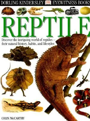 Reptile