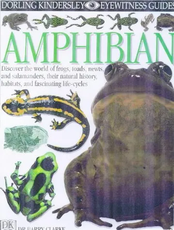 Amphibian